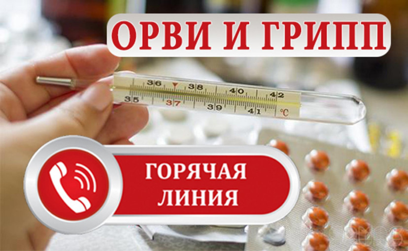 «Горячая линия» по профилактике гриппа и ОРВИ. «Горячая линия» по профилактике гриппа и ОРВИ.